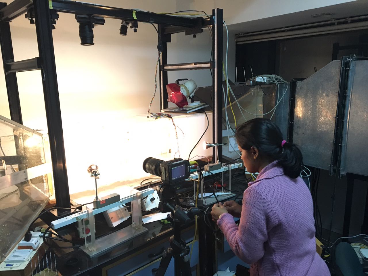 Experiment setup at NCBS recording wind-induced motion of small plant structures