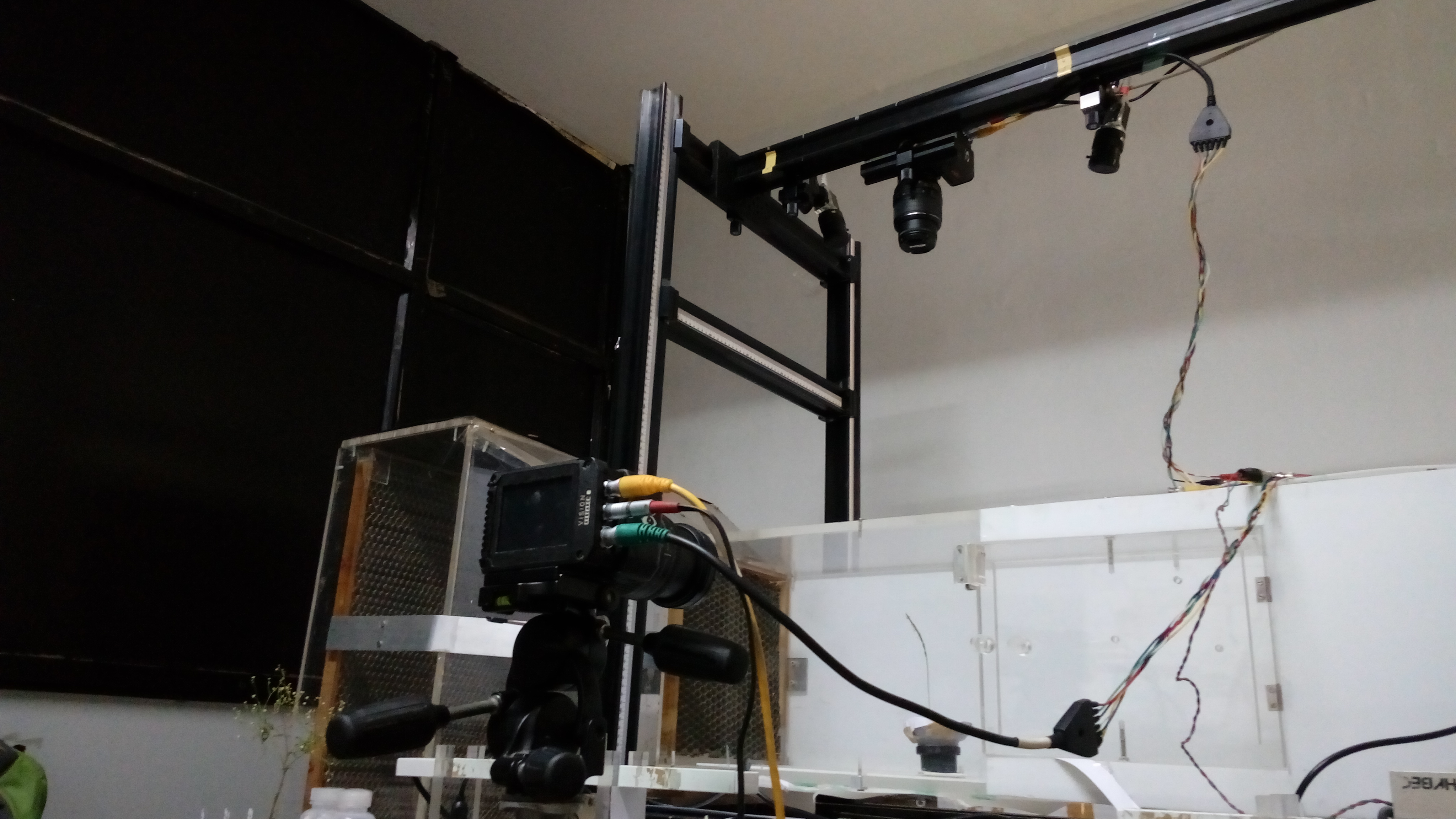 Experiment setup at NCBS